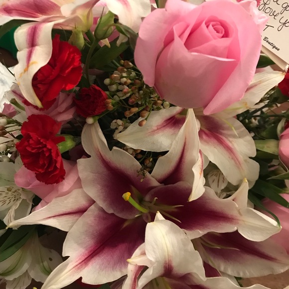 Meet your Posher, Hallie - Picture 1 of 1